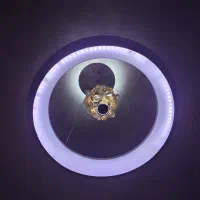 لوستر|لوستر و چراغ آویز|همدان, |دیوار