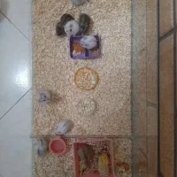 ۹ عدد همستر یکجا