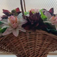 باکس گل مناسب و سبد حصیری مناسب یلدا و روز مادر|گل مصنوعی|قم, شاه سید علی|دیوار