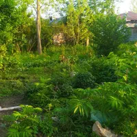 زمین مسکونی