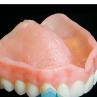 گم‌شده دندان متحرک سردزک شاهچراغ