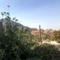 باغ انار  اندیس