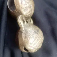 دو عدد قوزه سگ فروشی