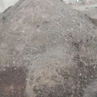 فروش کود گوسفندی