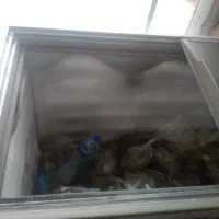 یخچال فلیزر|یخچال و فریزر|اهواز, پردیس دو|دیوار