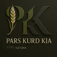 طراحی حرفه ای لوگو|خدمات رایانهای و موبایل|تبریز, |دیوار