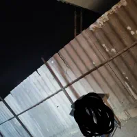 ایرانیت