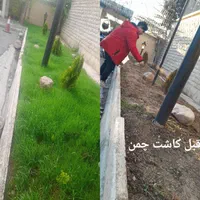 سمپاشی وباغبانی بادستگاههای مجهزی درتمام تهران|خدمات باغبانی و درختکاری|تهران, شهرک غرب|دیوار