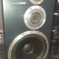 پایونر|سیستم صوتی خانگی|شیراز, مسلم|دیوار