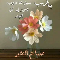 خرید پیکان پانت