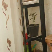 استند گل۳طبقه