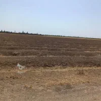 زمین-زعفرانیه-نظام-مهندسی-سه-سهم-180-کامل-و-تمام