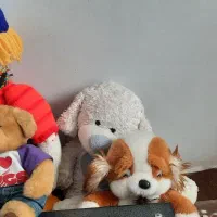 ۴عدد عروسک سالم همه ۳۰۰