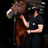 عکاسی|خدمات پذیرایی، مراسم|مشهد, هنرستان|دیوار