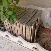 قفسه مرغ|لوازم جانبی حیوانات|اهر, |دیوار