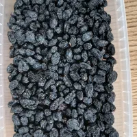 مویز ترکمن ۴ بدون هسته