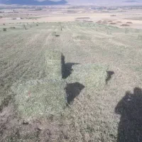 یونجه کیلویی