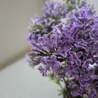 خریدار نقدی اپارتمان تا ۱۶۰۰