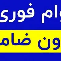 وام فوری|خدمات مالی، حسابداری، بیمه|شیراز, ریاستی|دیوار
