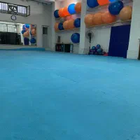 تاتامی باشگاه درحد نو