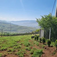 زمین با کاربری باغی|فروش زمین و ملک کلنگی|توتکابن, |دیوار