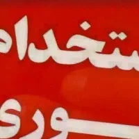 فروشنده و کارشناس فروش