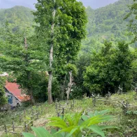 213-متر-زمین-با-کاربری-مسکونی-منطقه-لات-لیل-بزرگ