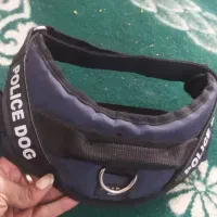 قلاده سگ ژرمن