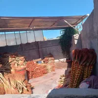 جارو عمده|لوازم نظافت|فرح آباد, |دیوار