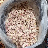 فروش لوبیا چیتی محلی خوش پخت .تمیز و الک شده