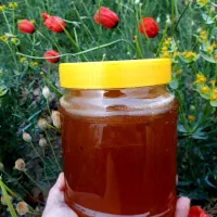 عسل طبیعی به شرط آزمایش