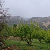 باغ تفریحی|فروش خانه و ویلا|یاسوج, |دیوار