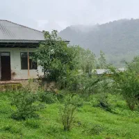زمین مسکونی ۱۸۱۴متری+خانه کلنگی در آهکلان ماسال|فروش زمین و ملک کلنگی|ماسال, |دیوار