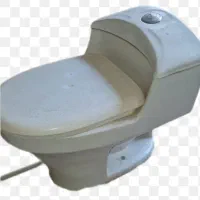توالت فرنگی