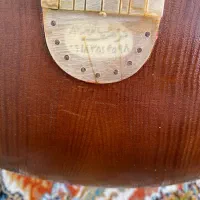 تار شناسنامهدار ساخته استاد(منوچهر غیاثوند)|سازهای سنتی|کرمانشاه, |دیوار