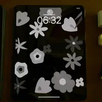 IPad Pro m4 (13 inch) 512 GB