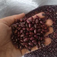 این لوبیا قرمز اعلا رو از دست نده /حاشیه سود بالا
