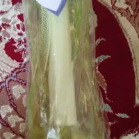 بطری آب|ظروف نگهدارنده، پلاستیکی، یکبارمصرف|پیشوا, |دیوار