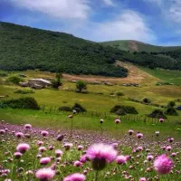 تور یک روزه دماوند