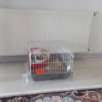 قفس خرگوش،پرنده و...