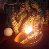 اسماج (گیاه پیچ)|صنایع دستی و سایر لوازم تزئینی|رشت, دخانیات|دیوار