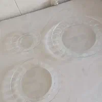 تعدادی ظروف مناسب باغ و منزل و گل طبیعی