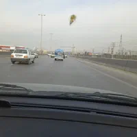 راهنمایی از وکیل ، وکلا