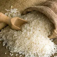 برنچ طارم هاشمی