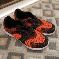 کفش اسپورت کفش پاشنه دار کفش عروس|کیف، کفش، کمربند|شیراز, کوشک میدان|دیوار