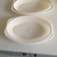 ظرف یکبار مصرف گیاهی