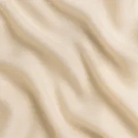 مستخدم منزل خانم