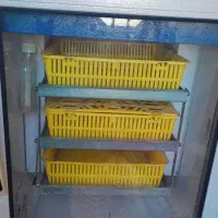 فروش دستگاه جوجه کشی دماوند