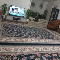 قالی ۱۲متری شیک
