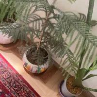 پرستار منزل